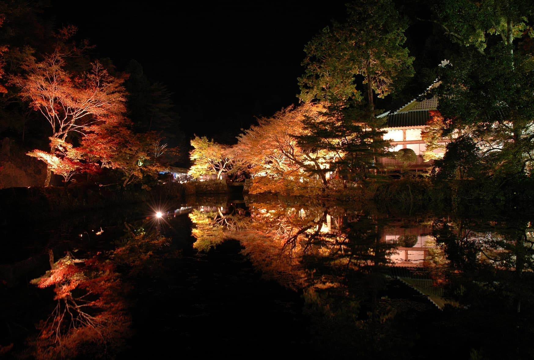library_546_image.jpg