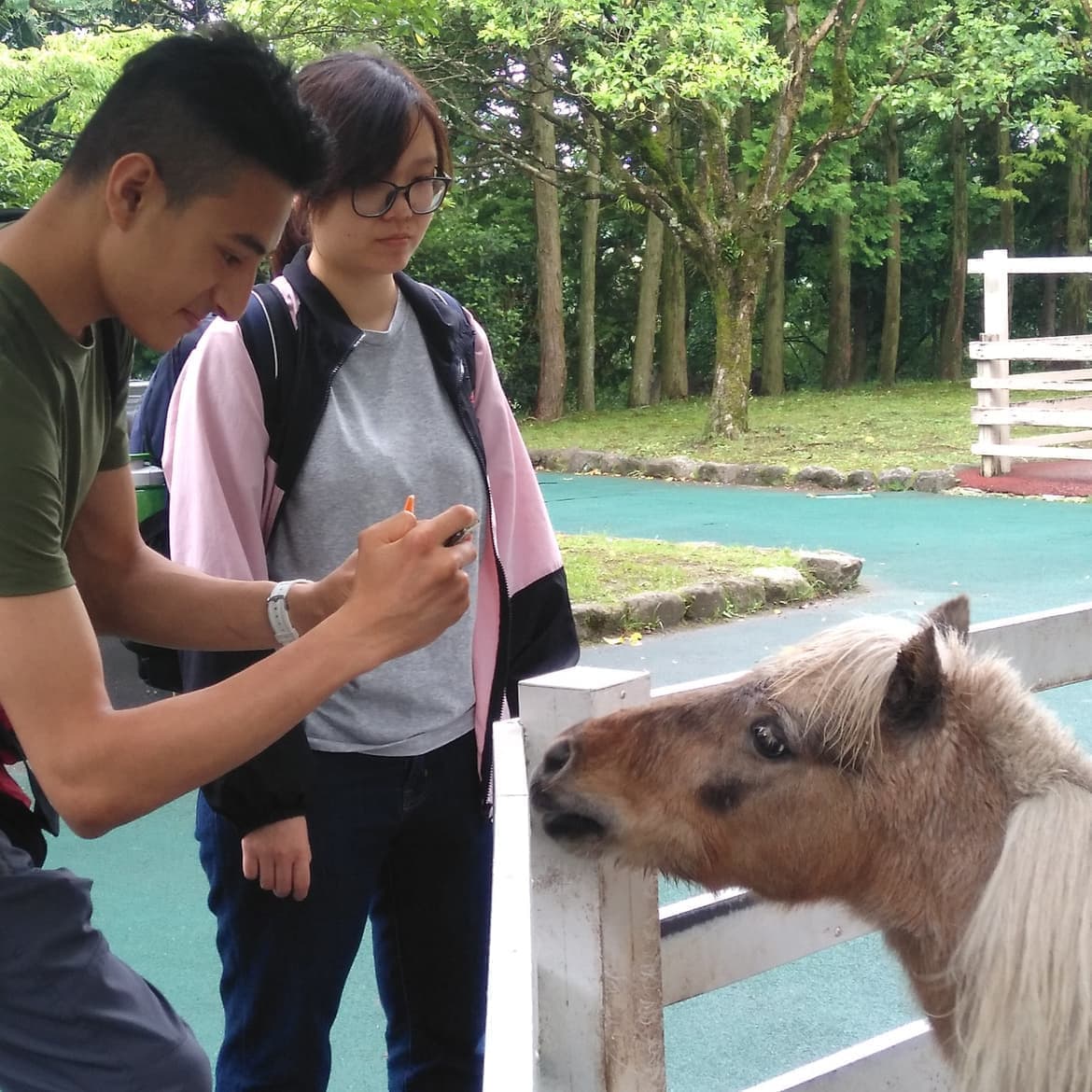 九州　日本語学校　美容 